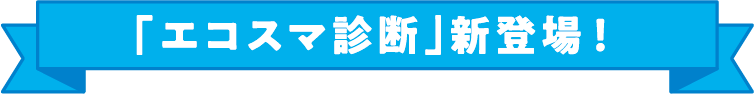 エコスマ診断