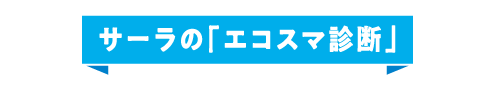 エコスマ診断